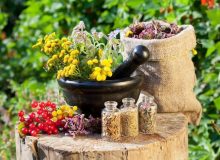 توسعه بین‌المللی طب ایرانی و ارتباط با مراکز طب تلفیقی در سراسر دنیا