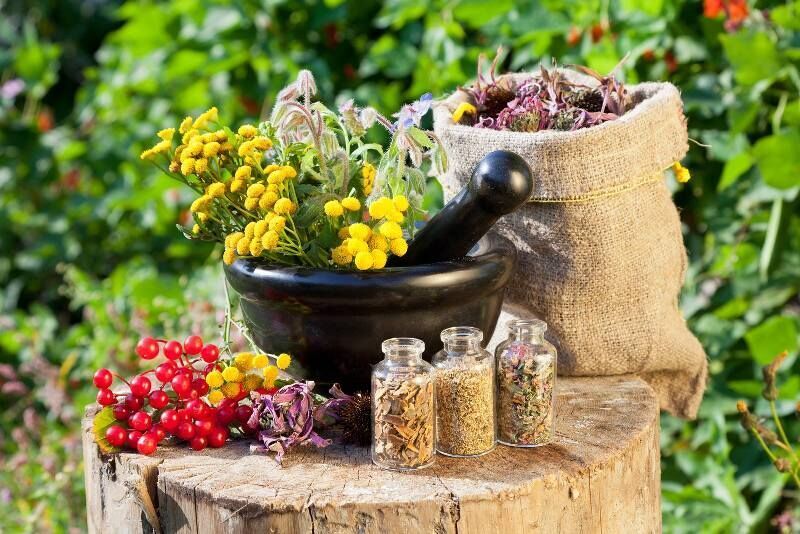 توسعه بینالمللی طب ایرانی و ارتباط با مراکز طب تلفیقی در سراسر دنیا