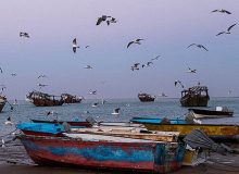 اقیانوس، زندگی و معیشت