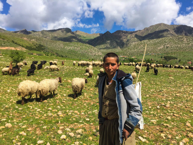 کردستان عراق