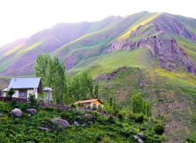 آشنایی با روستای لالان شهر لاله‌ها بهشتی در اطراف تهران + عکس