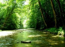 آشنایی با طبیعتی بکر و جالب در شمال ایران + عکس