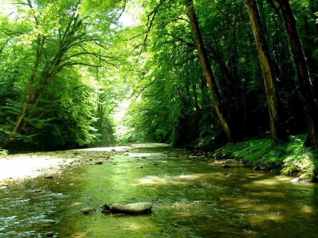 شیرگاه مازندران